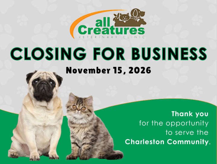 An Important Update from All Creatures Veterinary Clinic